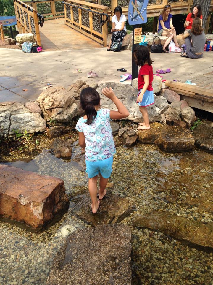 Hawks Hallow - Penny Spear Figueras